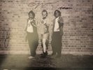 The Chats (2) - Get Fucked (LP, Album) (Mint (M)) - 3000379520
