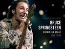 BRUCE SPRINGSTEEN ROCKIN`ON STAGE - LIVE 1995 LP New 4262428981293