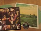 RYAN ADAMS covers Taylor Swift 1989 2xLP vinyl Ltd SEAFOAM GREEN Barnes & Noble