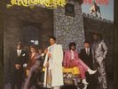 THE TIME Ice Cream Castle - 1984 1st Press Warner Bros. LP Morris Day - TOP NM