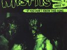MISFITS If You Don't Know This Song..Limited Edition Vinyl 1000 Made