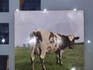 LP Vinile Pink Floyd Atom Heart Mother Prima stampa 1970 Made In Germany