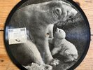 Saturn EG -102 Picture Disc Record 78 RPM Billy Ternent Brumas Roly Polar Bear