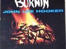 BLUES LP: JOHN LEE HOOKER Burnin' VEE-JAY 1043 (deep groove pressing)