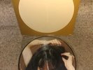 PATTI SMITH GROUP Easter 1979 Arista FRENCH Only PICTURE DISC LP New Wave PUNK