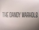 DANDY WARHOLS, The - Dandys Rule OK - Vinyl (gatefold 2xLP)