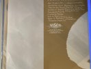 This Will Destroy You- Young Mountain 