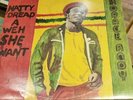 Natty Dread A Weh She Want Horace Andy 1978 Newstar Label 33 VG+ Condition LP