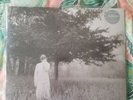Taylor Swift folklore 