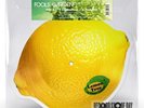 Fools Garden LEMON TREE Limited RSD 2024 New Lemon Shaped Vinyl Picture Disc 7