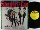 Shangri-Las - Leader Of The Pack LP - Red Bird Mono DG