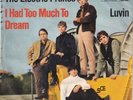 The Electric Prunes    -   I Had Too Much To Dream