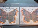 *SIGNED* The House Of Love Butterfly Vinyl Reissue + Hand Signed Art Work (Guy)