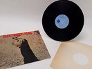Fleetwood Mac vinyl The Pious Bird of Good Omen First Uk Pressing Good Condition