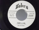 The Cruisers, Zebra 119,
