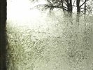 For Emma, Forever Ago by Bon Iver (Record, 2008)