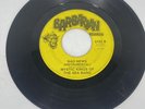 King Jerry Lawler 45 Rpm Vinyl Record Barbarian Bad News