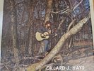 DILLARD J HAYS Self Titled VINYL LP Folk PRIVATE Country OUTSIDER Rural