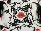 COA AUTOGRAPH Red Hot Chili Peppers 468348-1 VINYL LP  Signed