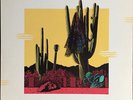Acoustic Alchemy - Red Dust & Spanish Lace 1987 LP, Album, KM  MCA Records MCA 5