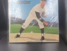 DENNY McCLAIN At The Organ Detroit Tigers Baseball Capital ST2881 LP Vinyl 