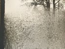 Bon Iver  For Emma Forever Ago Vinyl LP NEW