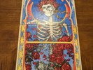 Grateful Dead - self-titled double live LP (aka Skull and Roses) Vinyl