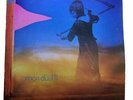 amon duul II Yeti Vinyl Record 2 Albums