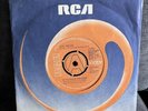 Elvis Demo RARE FIND - If You Talk In Your Sleep / Help Me
