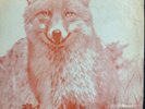 Disco Fox* - Disco Fox LP Ebonite 1977 funk soul disco NM 1st