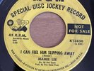 Mamie Lee I Can Feel  Him Slipping Away MGM Promo Demo Northern Soul