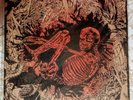 Ceschi / Pat The Bunny Split LP VINYL 2016