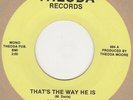 Ann Perry That's The Way He Is Theoda Soul Northern Motown