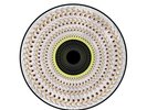 Dua Lipa Radical Optimism /5000 Blood Records Zoetrope Pic Vinyl LP Pre-Order