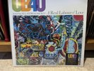 UB40 - Real Labour Love | SIGNED Limited Purple/Orange 2-LP VINYL | NEW/Sealed