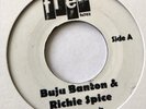 Buju Banton /Alton Ellis & Tupac ‎– The Sensi Rock/Nothin' Like Rocksteady 7''