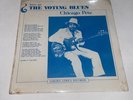 Chicago Pete Voting Blues 1980 LP Vinyl Record Golden Africa Records