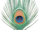 XTC - Apple Venus Volume One - New Vinyl Record - K600z