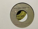 OLD NORTHERN SOUL REISSUE/PRESSING-THERES A GHOST IN MY HOUSE(INSTRUMENTAL)EX