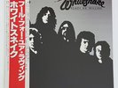 Whitesnake - Ready An’ Willing -Japan 1980 - OBI - Polydor MPF 1306