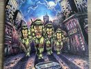 Teenage Mutant Ninja Turtles Soundtrack Splinter Brown/Grey Vinyl 2XLP Waxwork