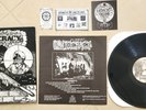 PLUTOCRACY (Redwood City, CA) Six Weeks Label Grindcore Hardcore Rare Vinyl LP