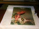 Gentle Giant - Octopus - UK / 1972 - Vertigo Swirl - Very Nice