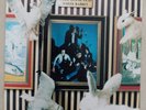 The Damned White Rabbit 7