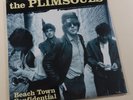 PLIMSOULS 