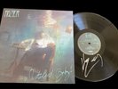 Hozier- Wasteland Baby Hand Signed Vinyl  1