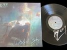 Hozier- Wasteland Baby Hand Signed Vinyl  2