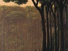 EL BUHO Natura Sonora LP NEW VINYL Shika Shika