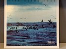 Ryan Adams - 1989 vinyl (2-LP-Set ) record RARE Taylor Swift cover album