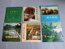Chinese 10